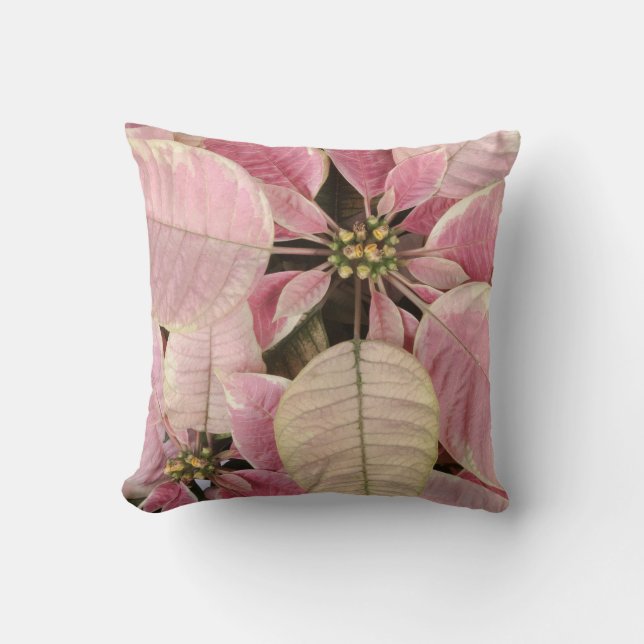 Poinsettia Kussen (Voorkant)