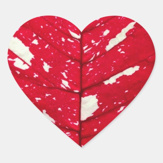 Poinsettia Leaf Textuur Hart Stickers (Voorkant)