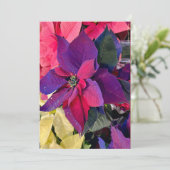 Poinsettia Magie Feestdagenkaart (Staand voorkant)