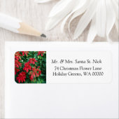 Poinsettia Merry Christmas Kaart Mail Labels (Insitu)