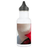 Poinsettia met kaars waterfles (Links)