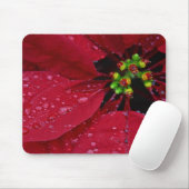 Poinsettia Muismat (Met muis)