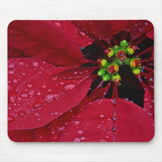 Poinsettia Muismat (Voorkant)