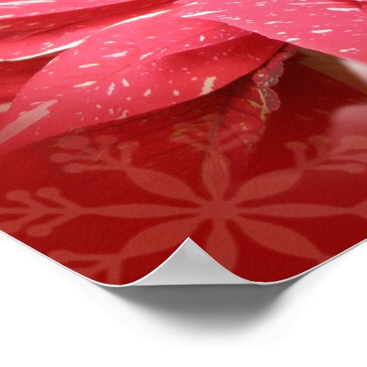 Poinsettia on Red With Poem Poster (Hoek)