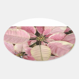 Poinsettia Ovale Stickers