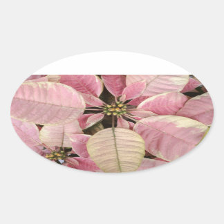 Poinsettia Ovale Stickers