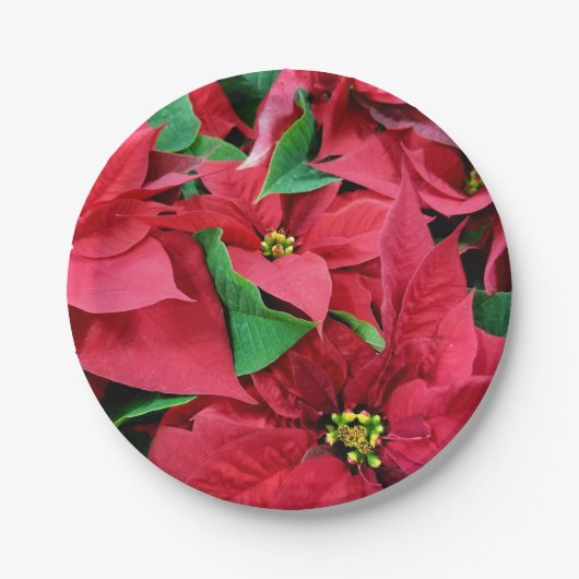 Poinsettia Papieren Bordje (Voorkant)