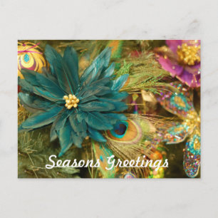 Poinsettia Peacock Feather Christmas Postcard Feestdagenkaart