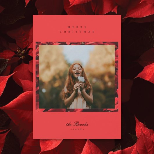 Poinsettia Petals Lijst 2 Foto Kerst Kaart