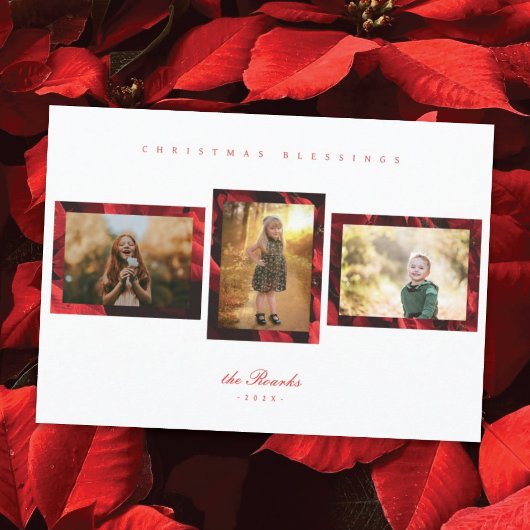 Poinsettia Petals Lijst 3 Foto Kerst Kaart