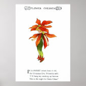 Poinsettia Poster (Voorkant)