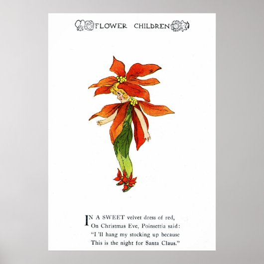 Poinsettia Poster (Voorkant)