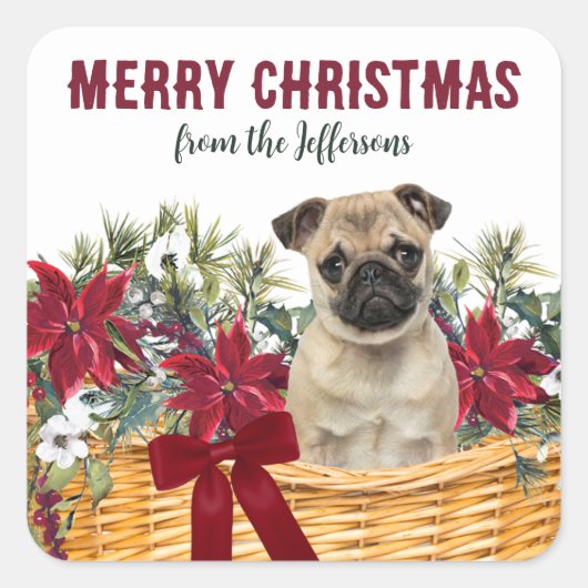 Poinsettia Pug Dog-kerstmand Vierkante Sticker (Voorkant)