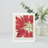 Poinsettia Pulcherrima (kleurenlitho) Briefkaart (Staand voorkant)