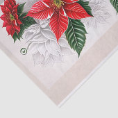 Poinsettia Rode Kerstmis Illustratie Tissuepapier (Detail)