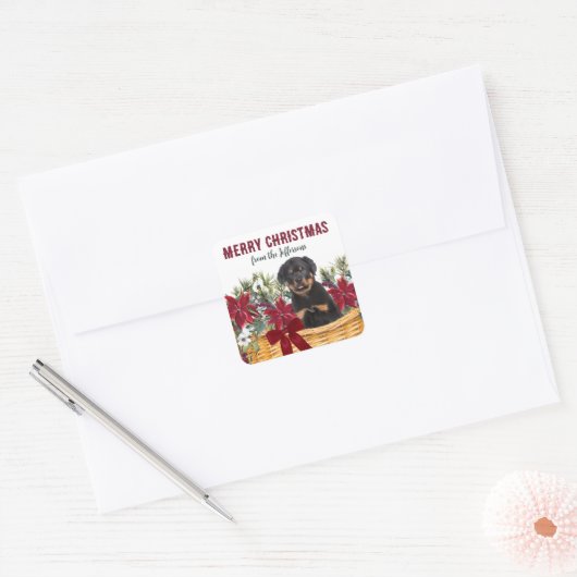 Poinsettia Rottweiler Hondenkerstmand Vierkante Sticker (Envelop)
