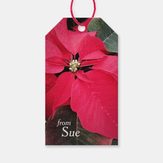 Poinsettia Seizoen Aangepaste Gift Labels Cadeaulabel (Voorkant)