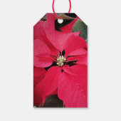 Poinsettia Seizoen Aangepaste Gift Labels Cadeaulabel (Achterkant)