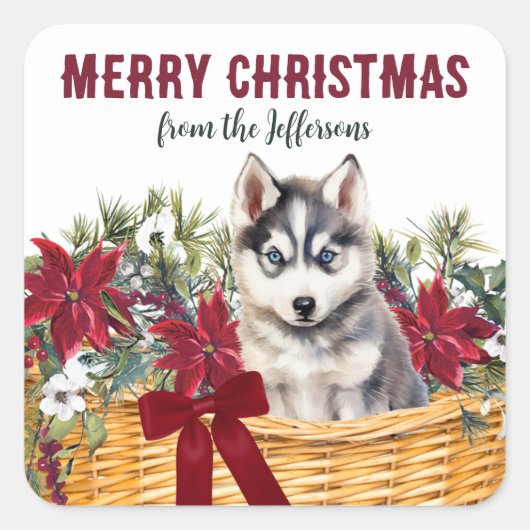 Poinsettia Siberische Husky Kerstmand Vierkante Sticker (Voorkant)
