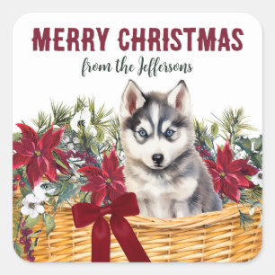 Poinsettia Siberische Husky Kerstmand Vierkante Sticker