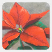 Poinsettia Stickers (Voorkant)