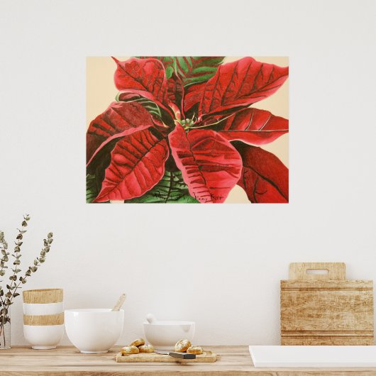 Poinsettia van Jenny Koch Poster (Keuken)