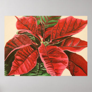 Poinsettia van Jenny Koch Poster