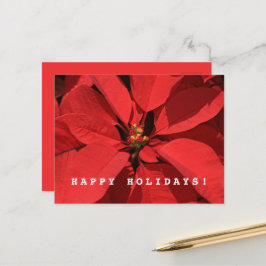 Poinsettia Vrolijk Kerstfeest Gelukkig Nieuwjaar Feestdagenkaart