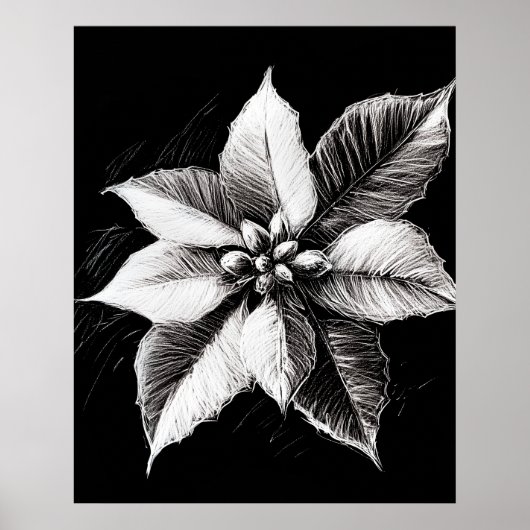 Poinsettia wandkunst poster (Voorkant)