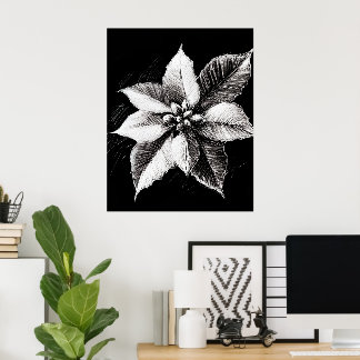 Poinsettia wandkunst poster