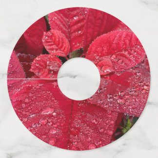 Poinsettia Wijn Labels nr.: 2