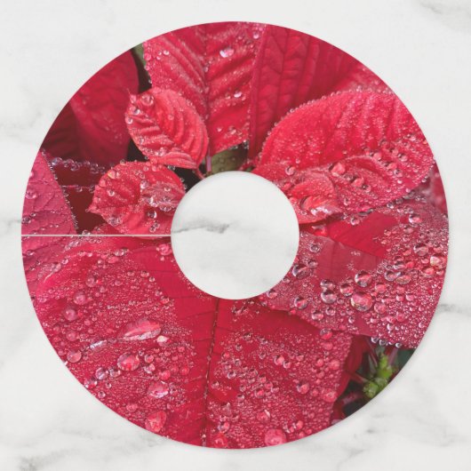 Poinsettia Wijn Labels nr.: 2 (Voorkant)