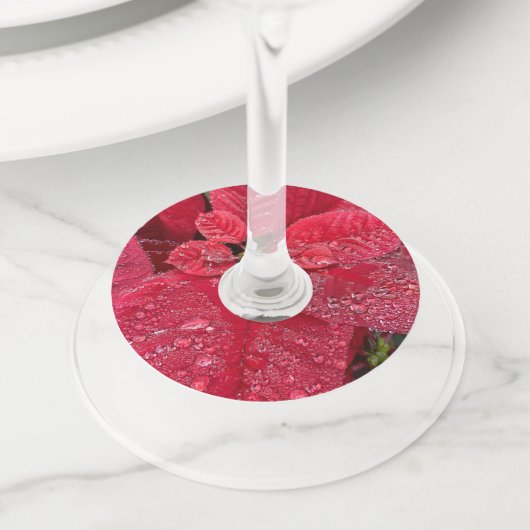 Poinsettia Wijn Labels nr.: 2 (Dichtbij)