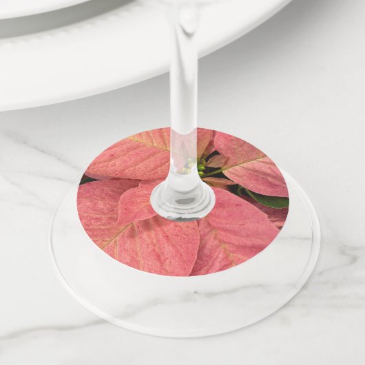 Poinsettia Wijn Labels nr.: 5 (Dichtbij)