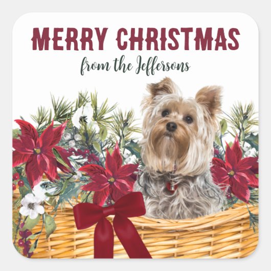 Poinsettia Yorkshire Terrier Kerstmand Vierkante Sticker (Voorkant)