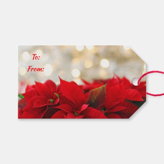 Poinsettias Cadeaulabel (Voorkant (Horizontaal))
