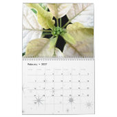 Poinsettias Calendar Kalender (Feb 2027)