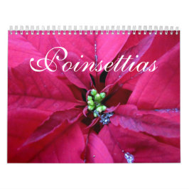 Poinsettias Calendar Kalender