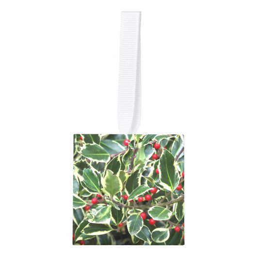 Poinsettias en Holly Leaves Holiday Decoratie (Voorkant)