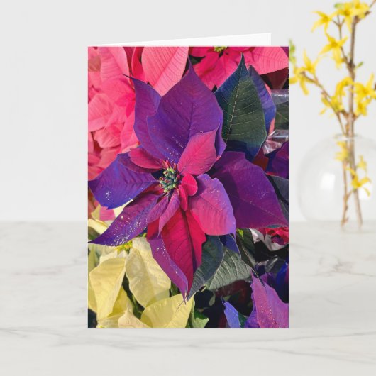 Poinsettias Magic Kaart (Gele Bloem)