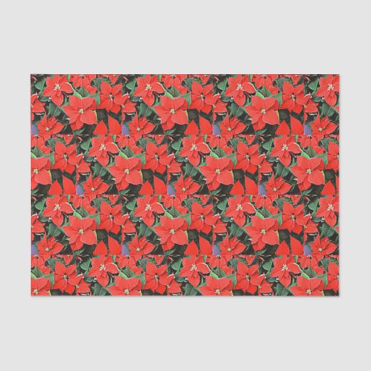Poinsettias Tissuepapier (Voorkant)