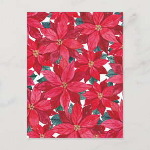 Poinsettias Winter Shelter Briefkaart