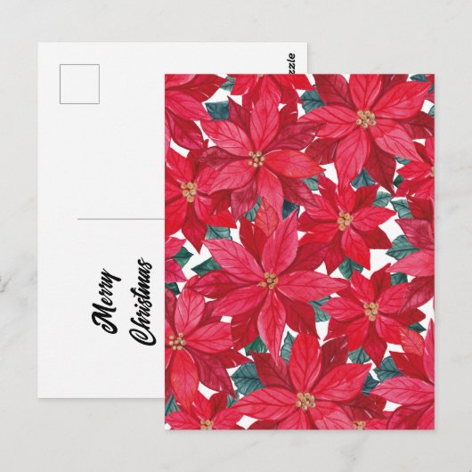 Poinsettias Winter Shelter Briefkaart (Voorkant / Achterkant)