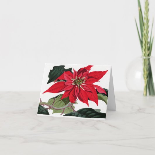 Poinsettiia Feestdagen Kaart (Voorkant)