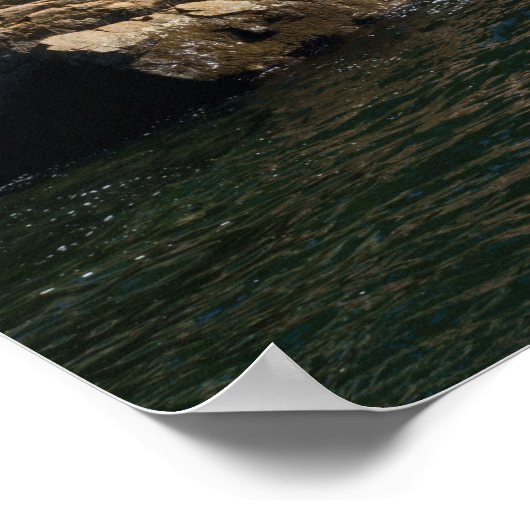 Point Atkinson Lighthouse Poster (Hoek)