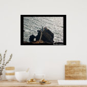 Point Bonita Lighthouse Poster (Keuken)