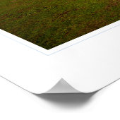 Point Cabrillo Lighthouse Poster (Hoek)