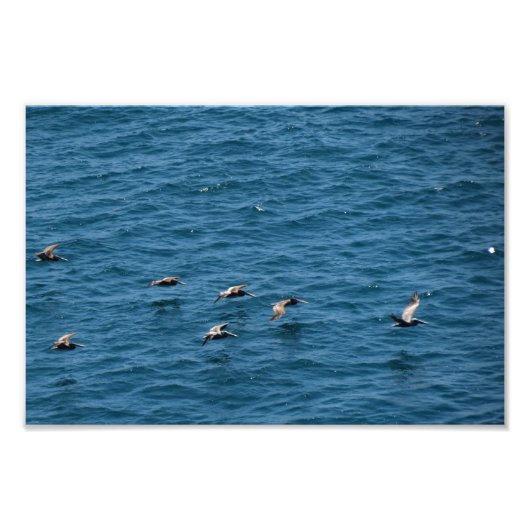 Point Dume Foto Afdruk (Voorkant)