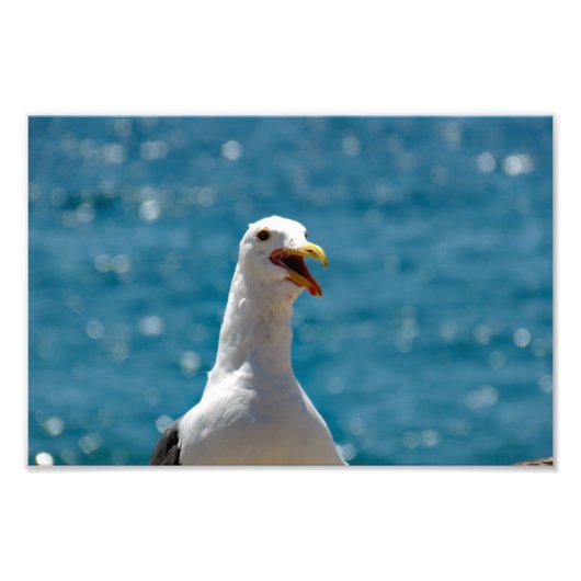 Point Dume Foto Afdruk (Voorkant)