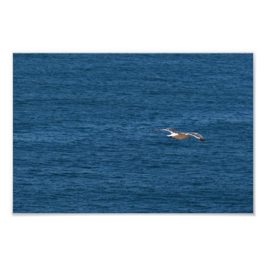 Point Dume Foto Afdruk (Voorkant)